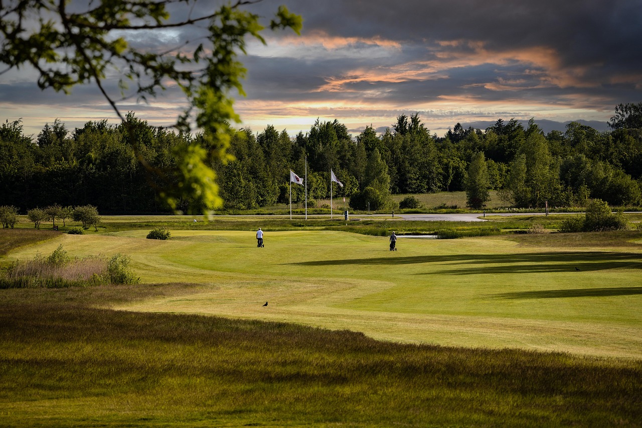 golf course, golf, golf club, sunset, nature, outdoors, activity, golf course, golf, golf, golf, golf, golf